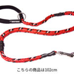 leash-11